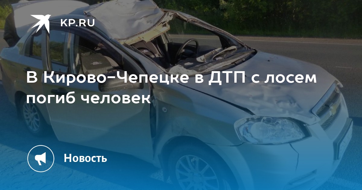 Злой чепчан. ДТП С лосем Кирово-Чепецк. Авария с лосем в Кирово Чепецке. ДТП С лосем в г. Кирово-Чепецк.