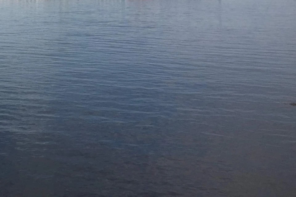 Не все липчане соблюдают правила безопасности на воде