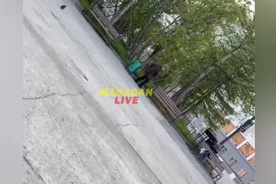 Фото: скриншот из видео
