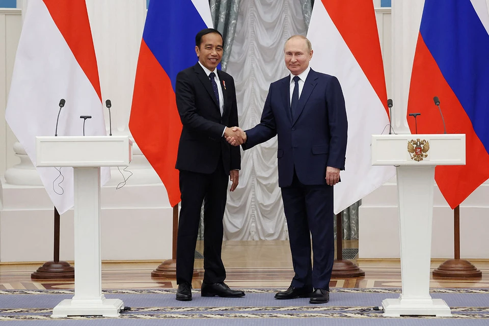Владимир Путин и президент Индонезии Джоко Видодо