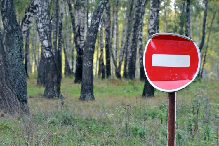 Прощайте, пикники: В Тверской области введен особый противопожарный режим