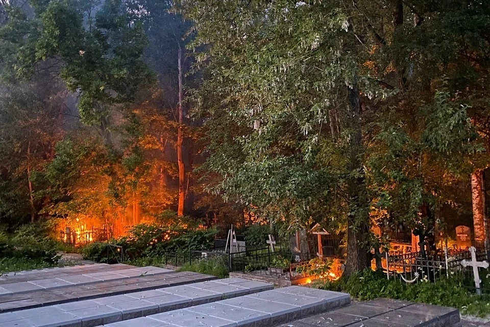 На кладбище горел мусор. Фото: vk.com/spb_today