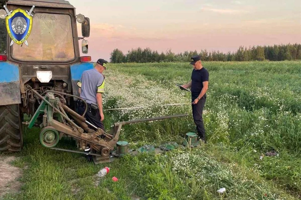 В Бобруйском районе 11-летний мальчик спрятался в гороховом поле в Бобруйском районе и попал под косилку трактора. Фото: телеграм-канал Следственного комитета
