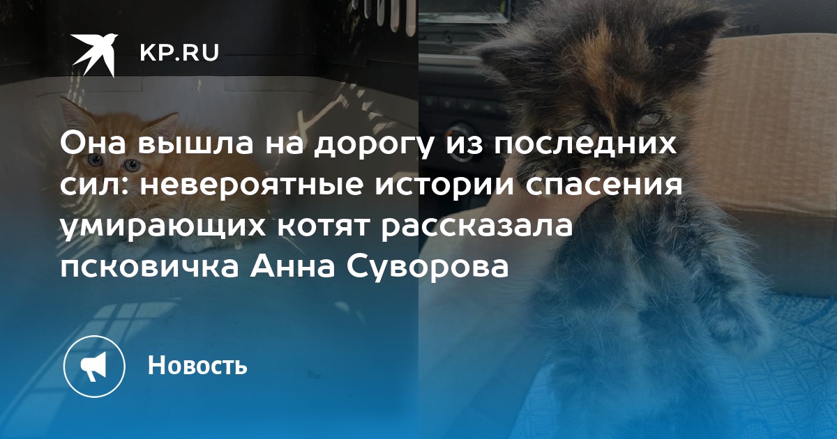 Звук умирающих котят. Крики 13 умирающих котят