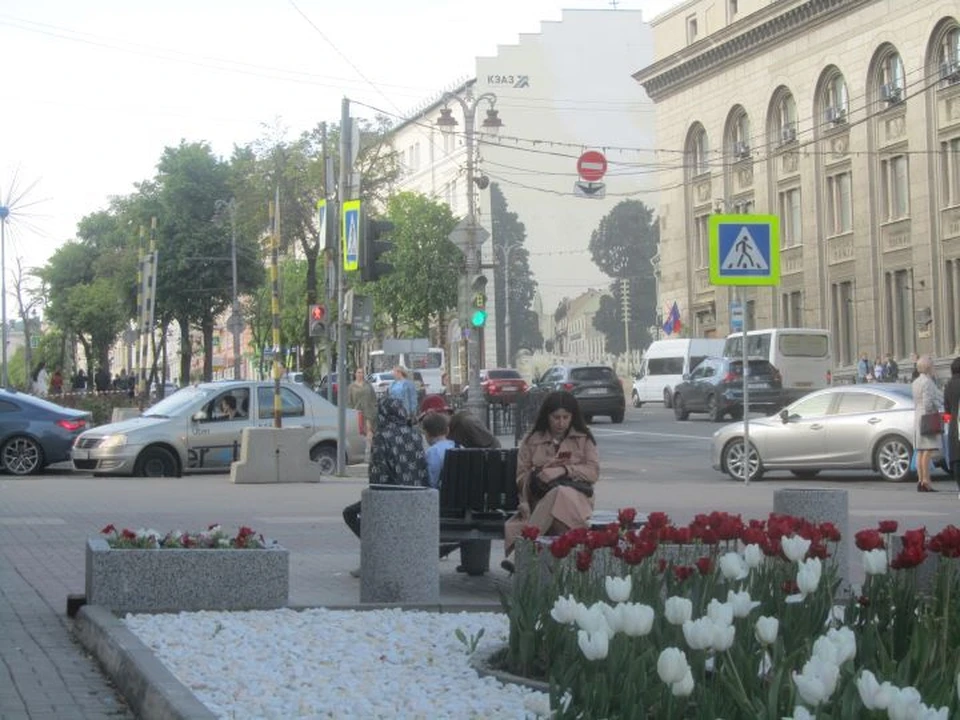 На улице Ленина высадят новые деревца
