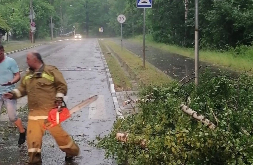 В Обнинске ураган повалил 15 деревьев