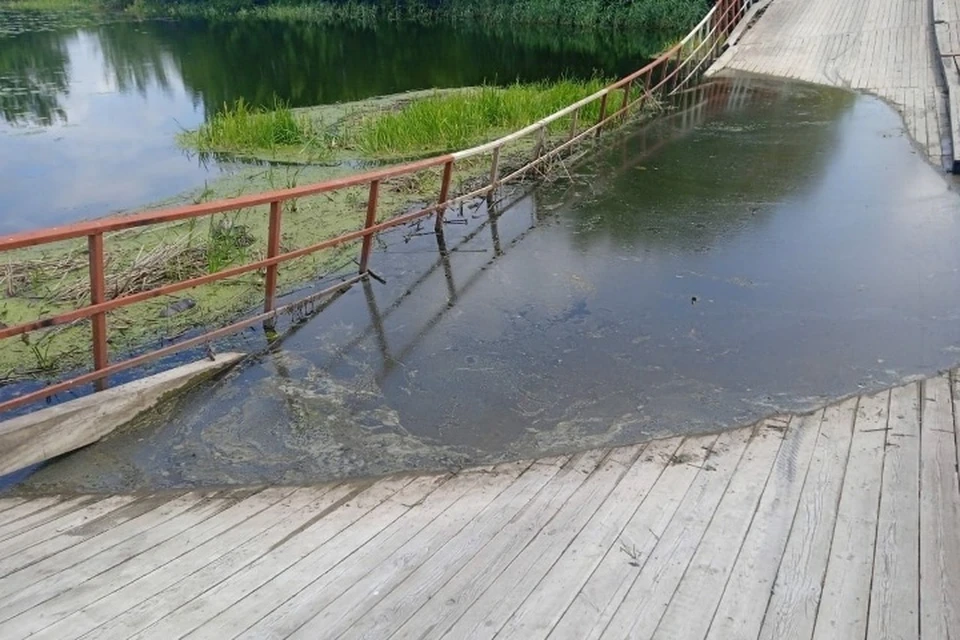 Село баклань брянская область. Мост Баклань.