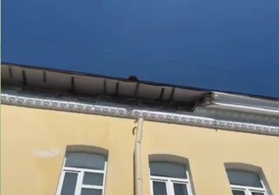 Фото: Сергей Островский.