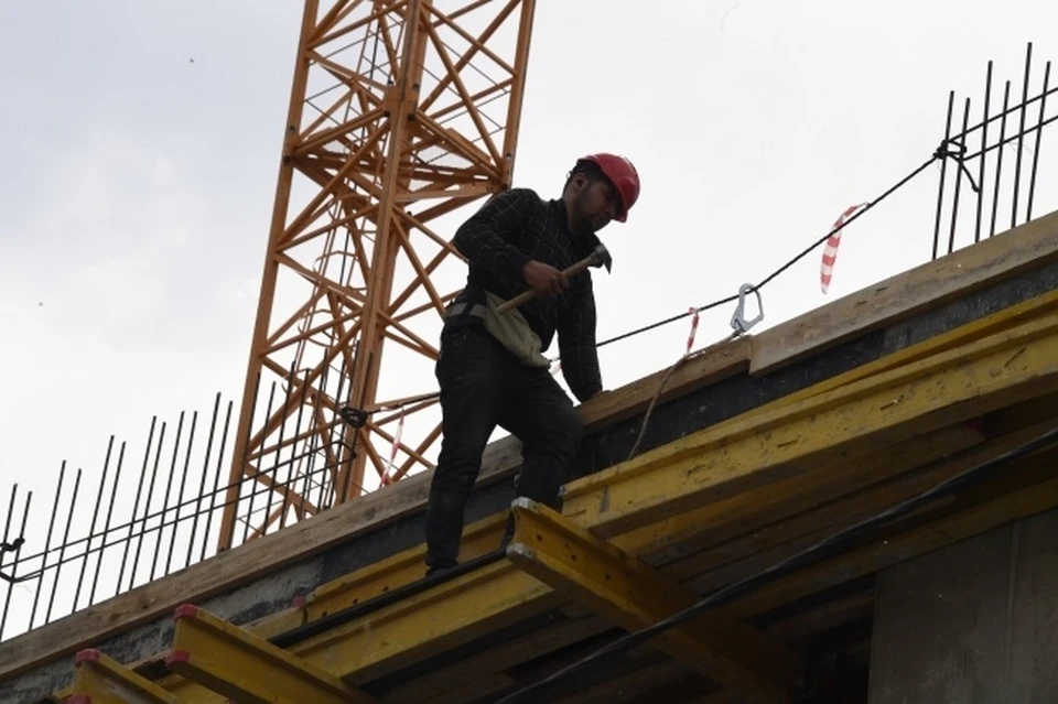 В Новосибирске на территории Заельцовского бора официально разрешили строить жилье.
