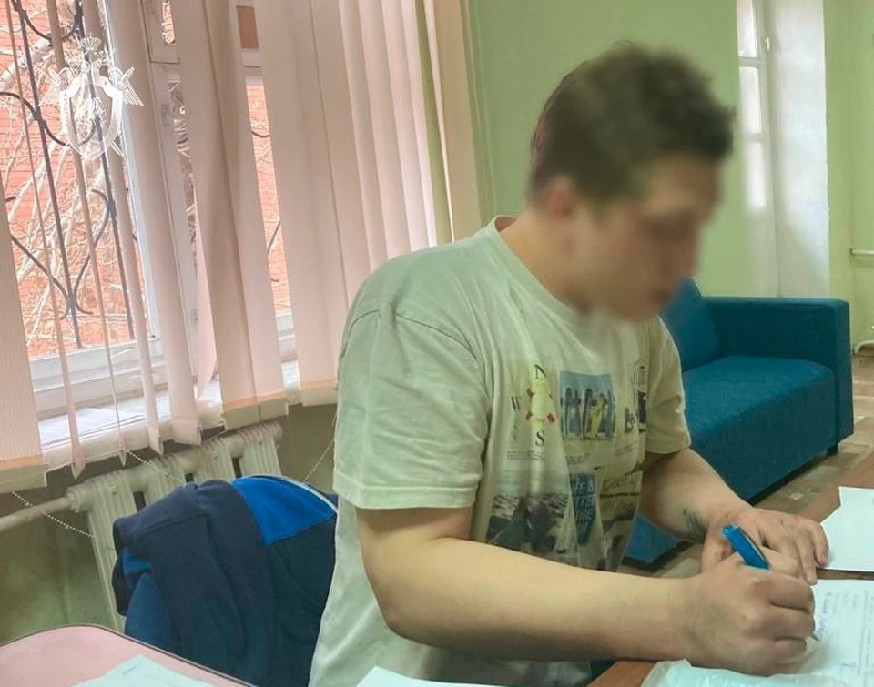 Мужчина обвиняется в хулиганстве и умышленном причинении легкого вреда здоровью.