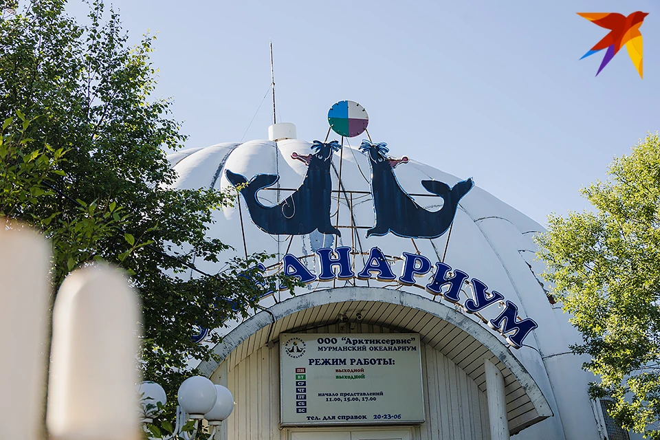 Московский зоопарк приютит тюленей, а также предоставит служебное жилье для тренеров, которые будут их сопровождать в дороге.