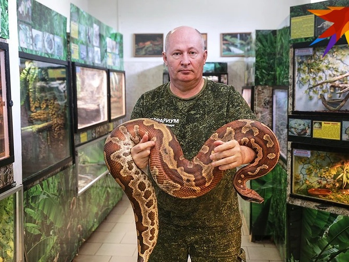 Каких животных нельзя содержать в квартире в Беларуси с 1 августа 2022:  питоны, морские черепахи, тигры, шимпанзе и не только - KP.RU