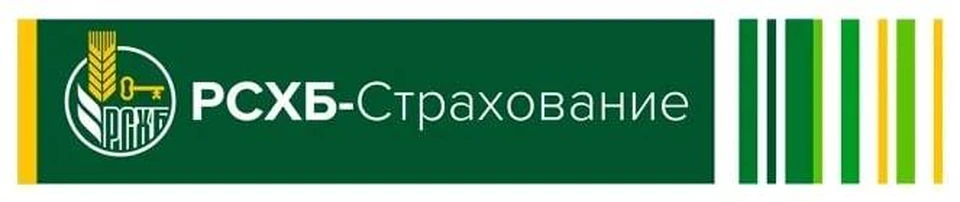 Бизнес р. Акционерное общество СК РСХБ страхование. РСХБ страхование логотип. 