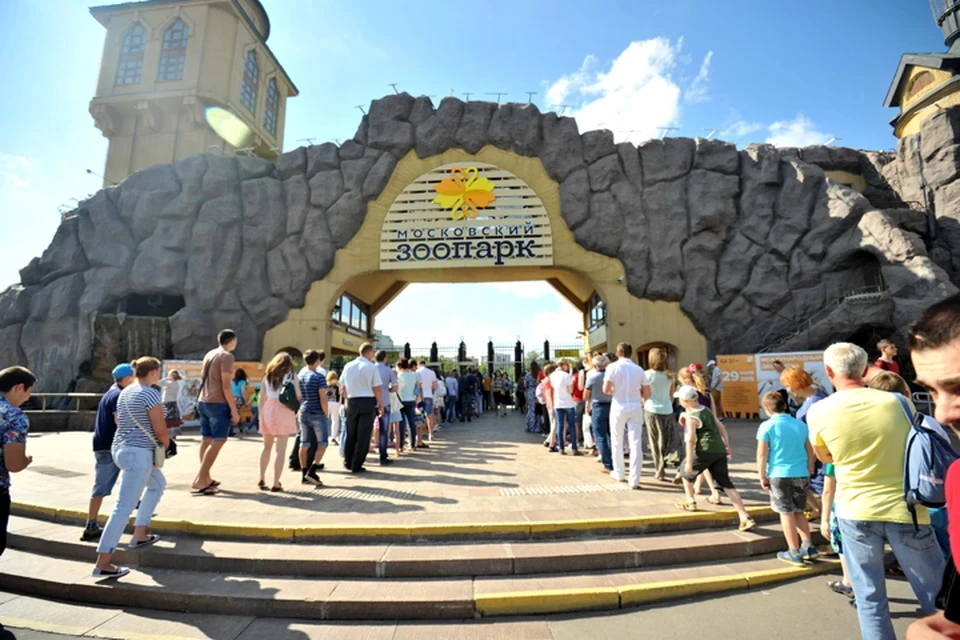 Попасть на выставку можно до конца 2022 года