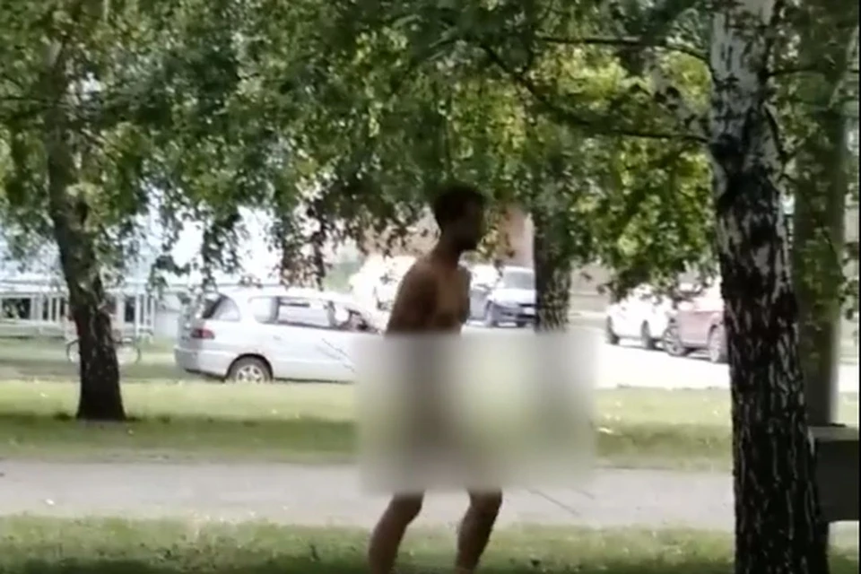 По парку Новосибирска прогулялся мужчина без одежды. Фото: стоп-кадр