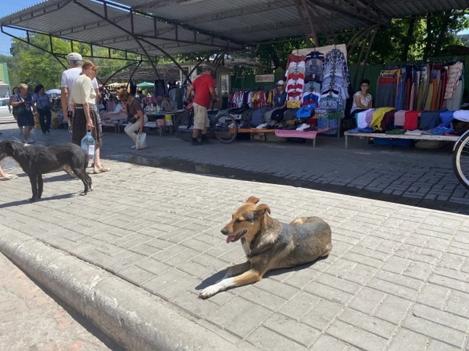 Заехавший на пляж в мариуполе