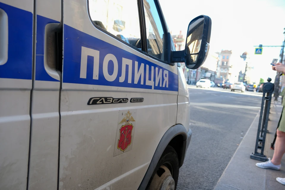 Сотрудники полиции задержали двух «домушников» в Петербурге