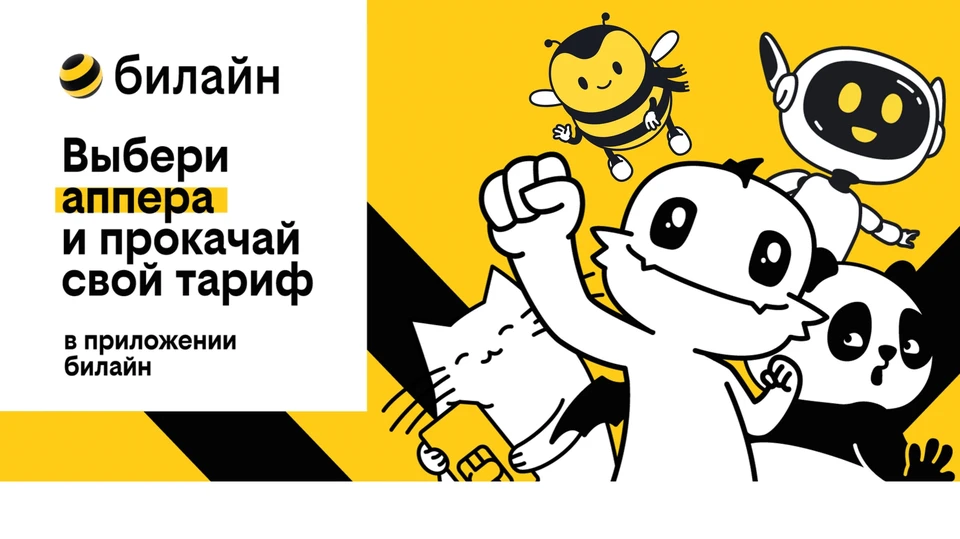 Фото: предоставлено пресс-службой билайн