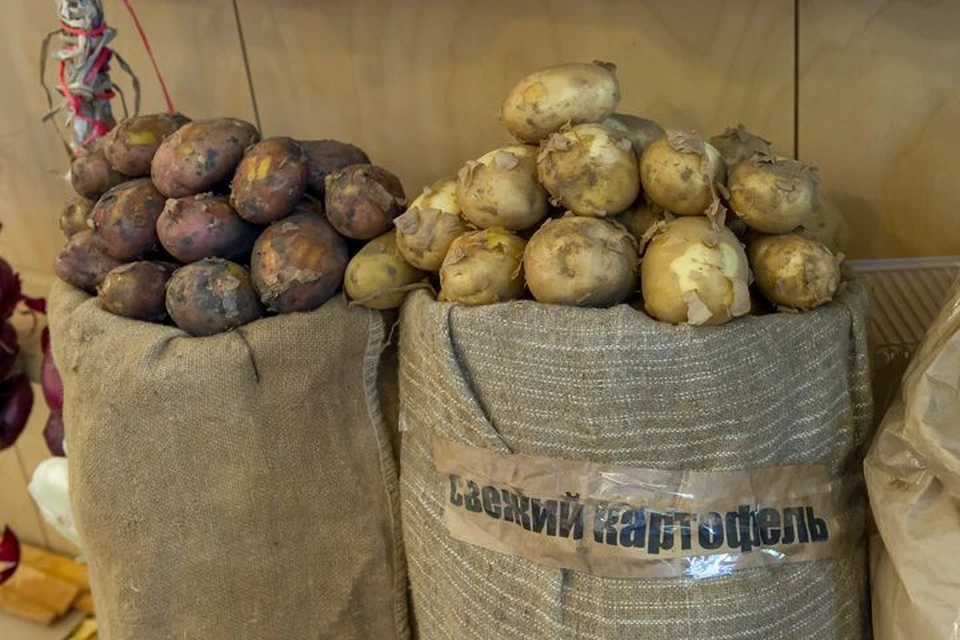 В Приморье увеличат урожаи картофеля.