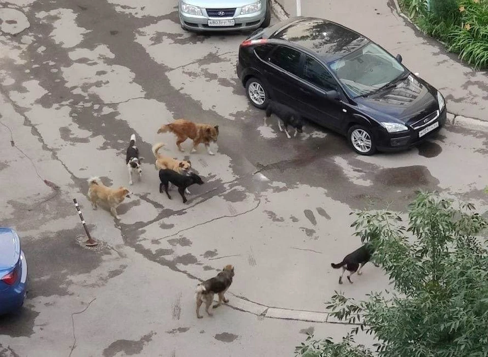 фото из соцсетей