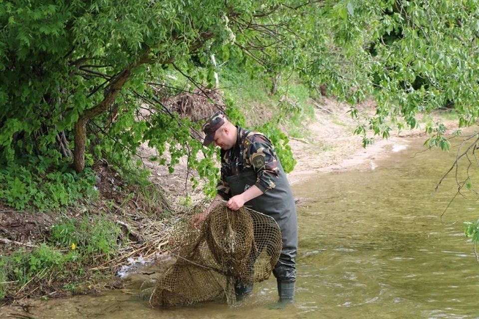 Начальник Мядельской межрайонной инспекции проводит рейд и извлекает из воды запрещенные орудия рыболовства. Фотоиллюстрация: gosinspekciya.gov.by
