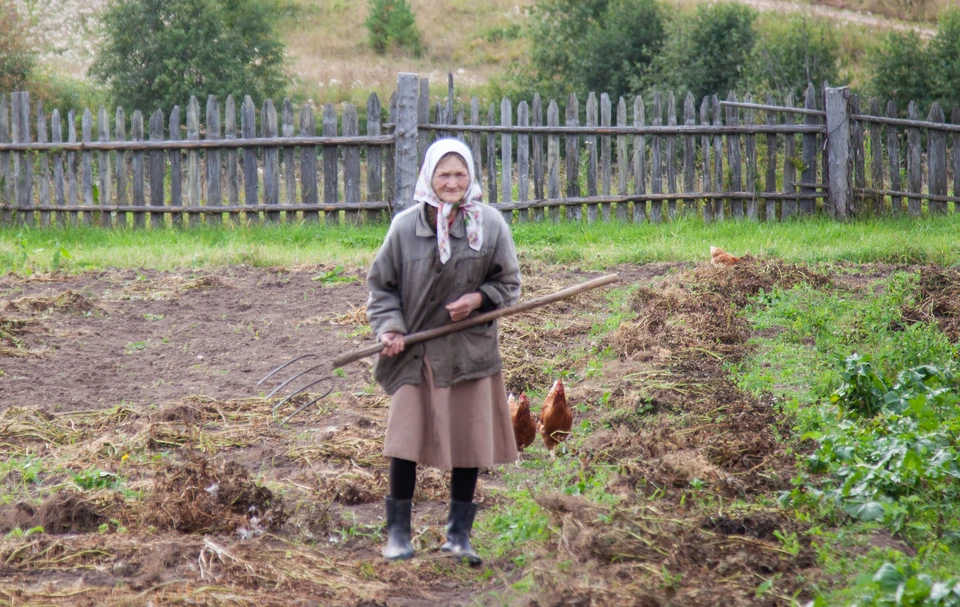 Ульяновец-мошенник брался городить участки и пропадал с деньгами
