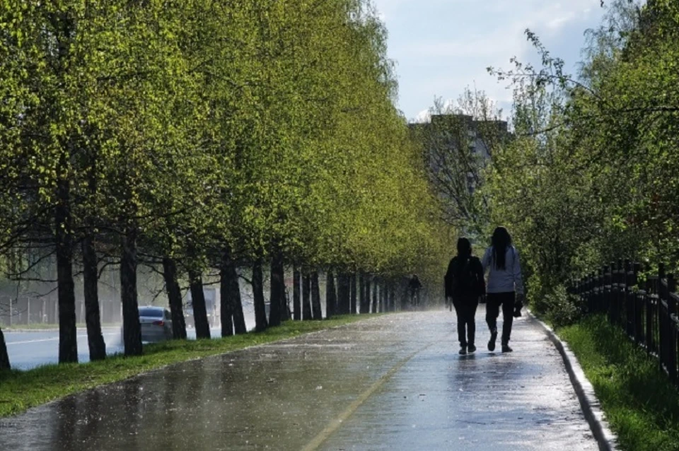 В связи с непогодой водителям нужно ехать осторожнее.
