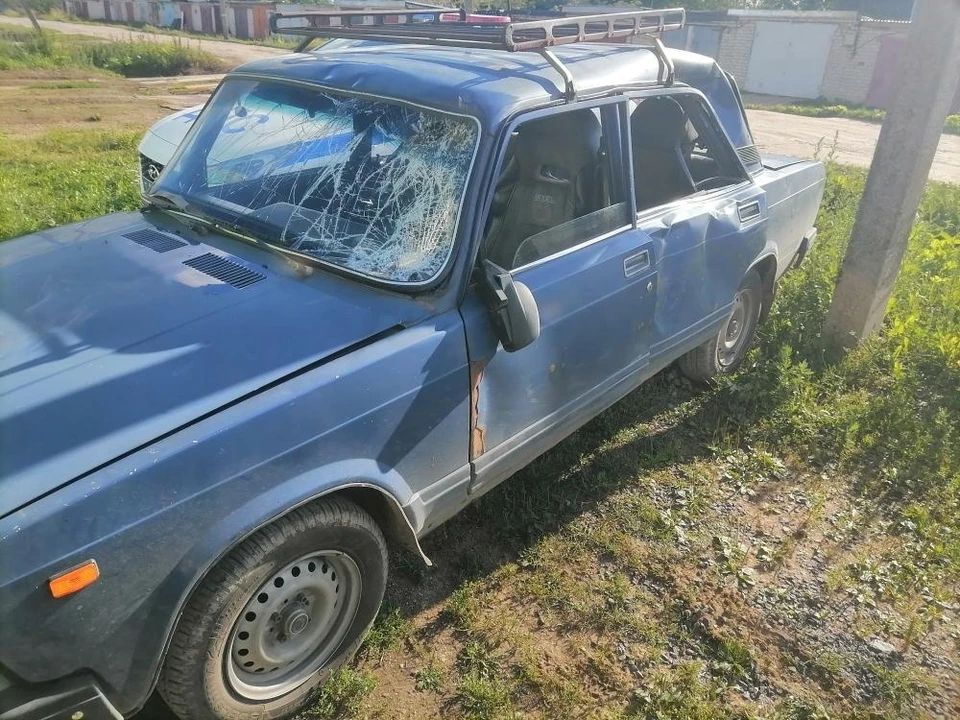 В ДТП с лосем пострадал маленький ребенок Фото: УГИБДД России по Тверской области