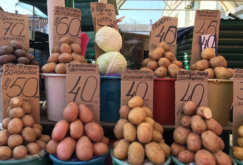 На рынках Ростова картофель продается в 3-4 раза дороже, чем ее продают фермеры.