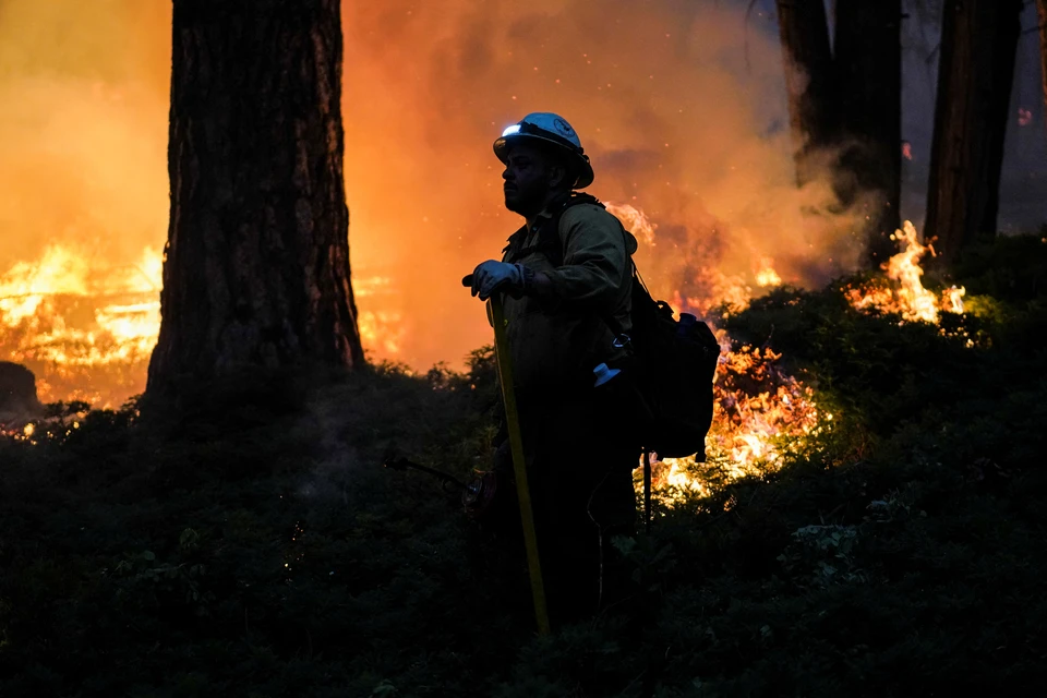 Для тушения пожара, который продолжался более двух суток и уничтожил почти 25 гектаров леса, были привлечены две пожарные бригады и один самолет.
