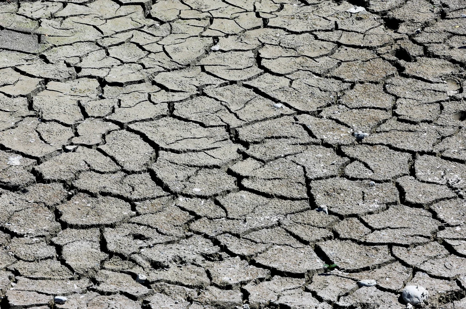 Франция страдает от рекордной засухи