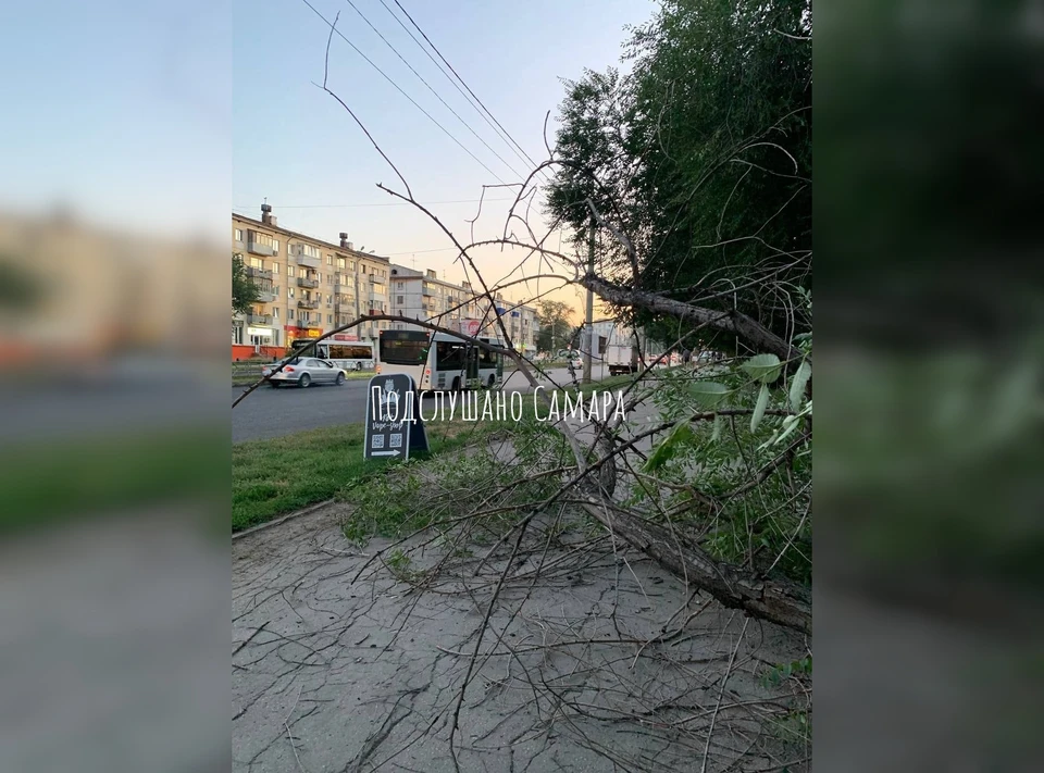 Рухнувшее дерево чуть не убило случайного прохожего. Фото: vk.com/overstory163