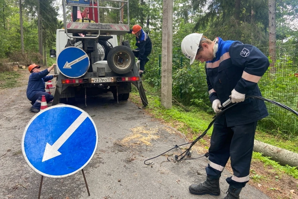 В Петербурге ликвидировали 50 процентов последствий шторма. Фото: пресс-служба "Ленсвета"