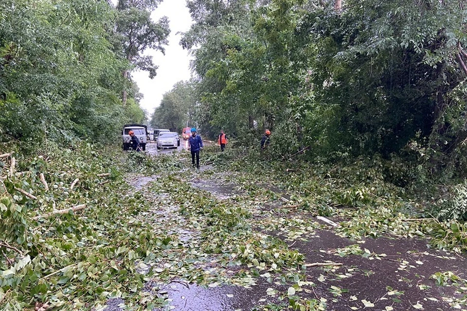 Вот это погодка: Комсомольск-на-Амуре засыпало деревьями из-за шквалистого ветра