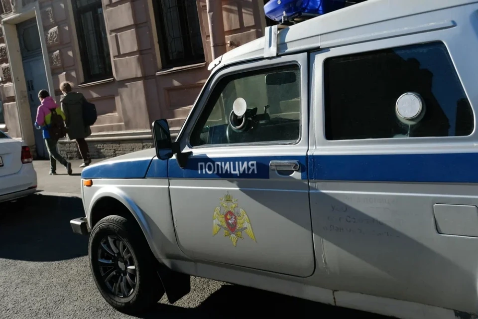 Школьника из Петербурга задержали за "террор" аэропорта Пулково, школ и больниц.