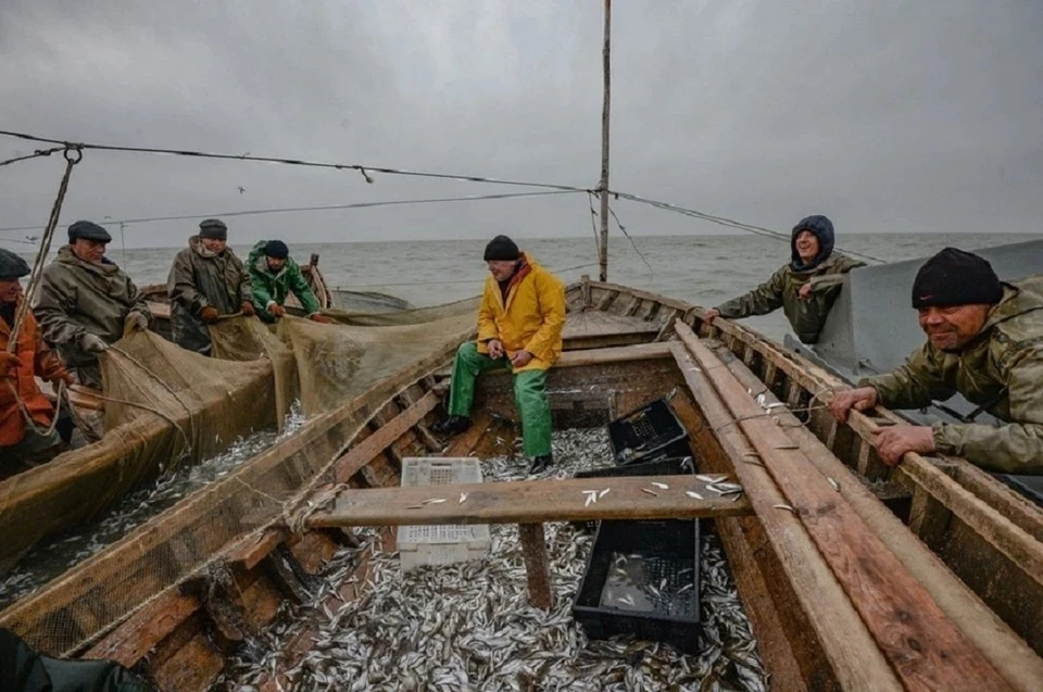 В воде исчезает кислород, в результате чего рыба погибает.