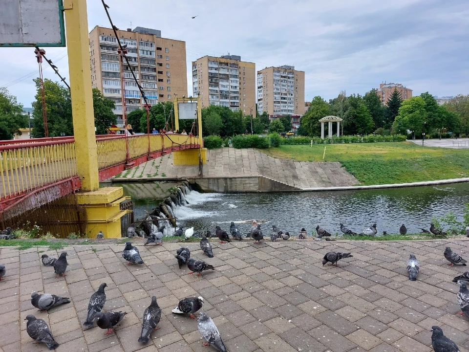 Фото: Ольга Супонева