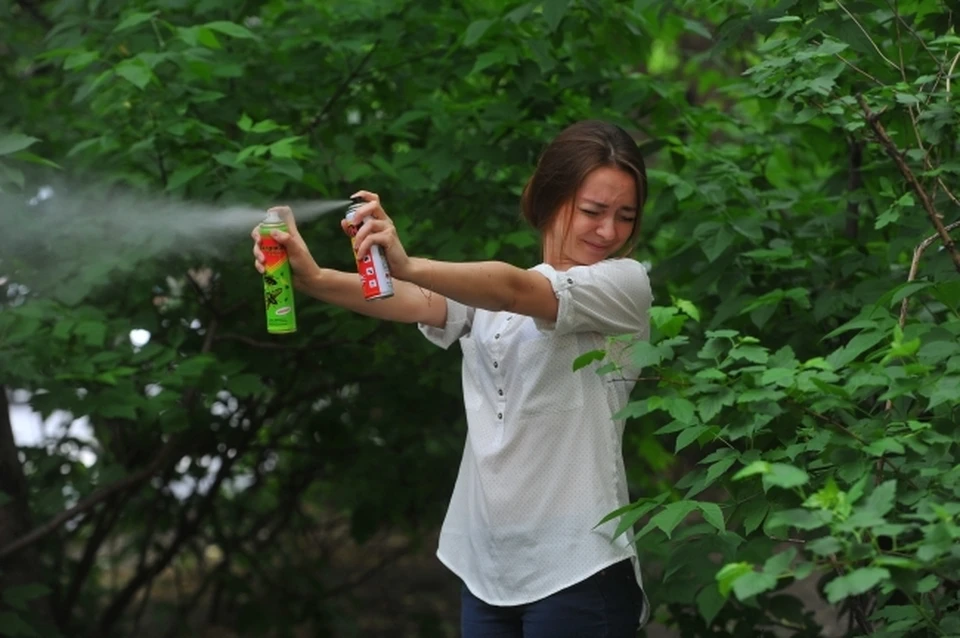 Переносчиками лихорадки Западного Нила являются комары