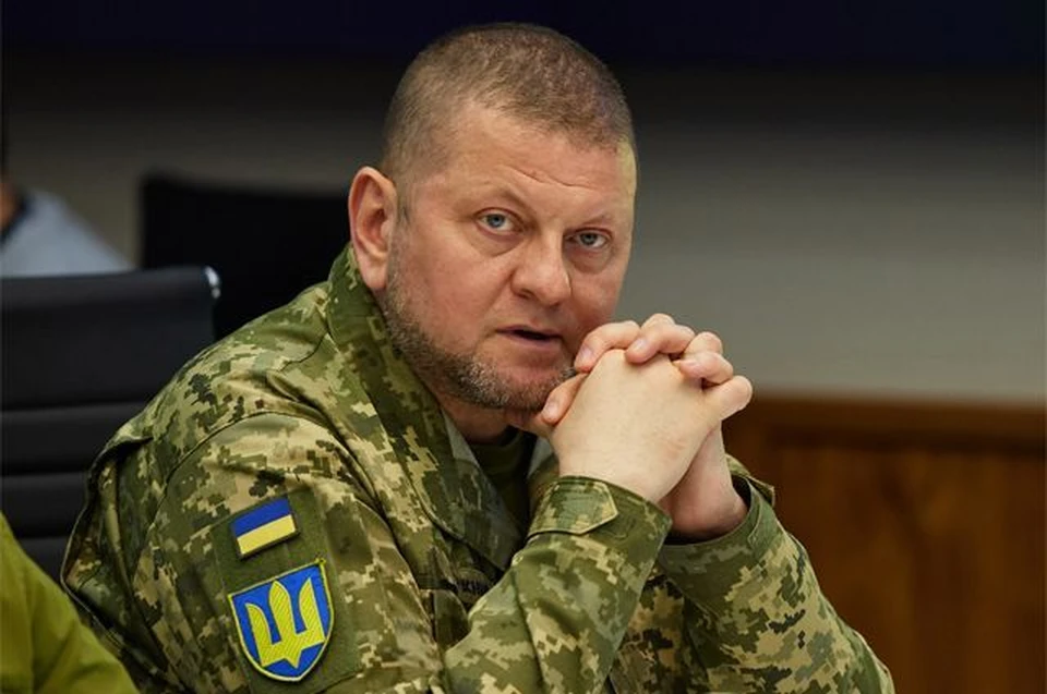 Главнокомандующий ВСУ генерал Валерий Залужный.