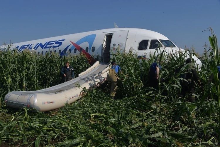 Росавиация раскрыла итоги расследования аварийной посадки самолета «Уральских авиалинии» на кукурузном поле в Жуковском