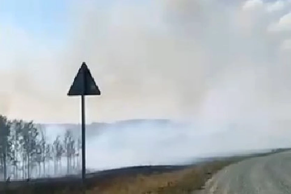 Огонь грозит переброситься на лес. Фото: стоп-кадр с видео Минприроды