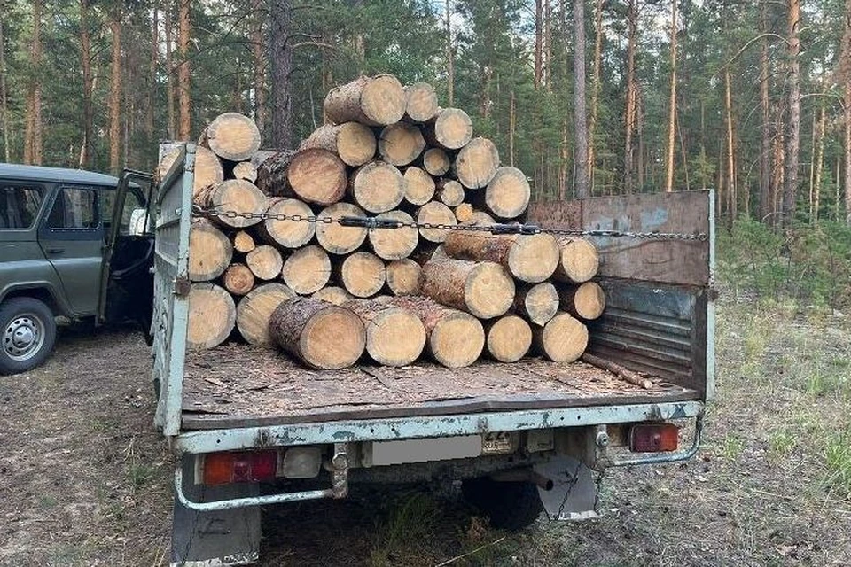 Изъятые чурки
