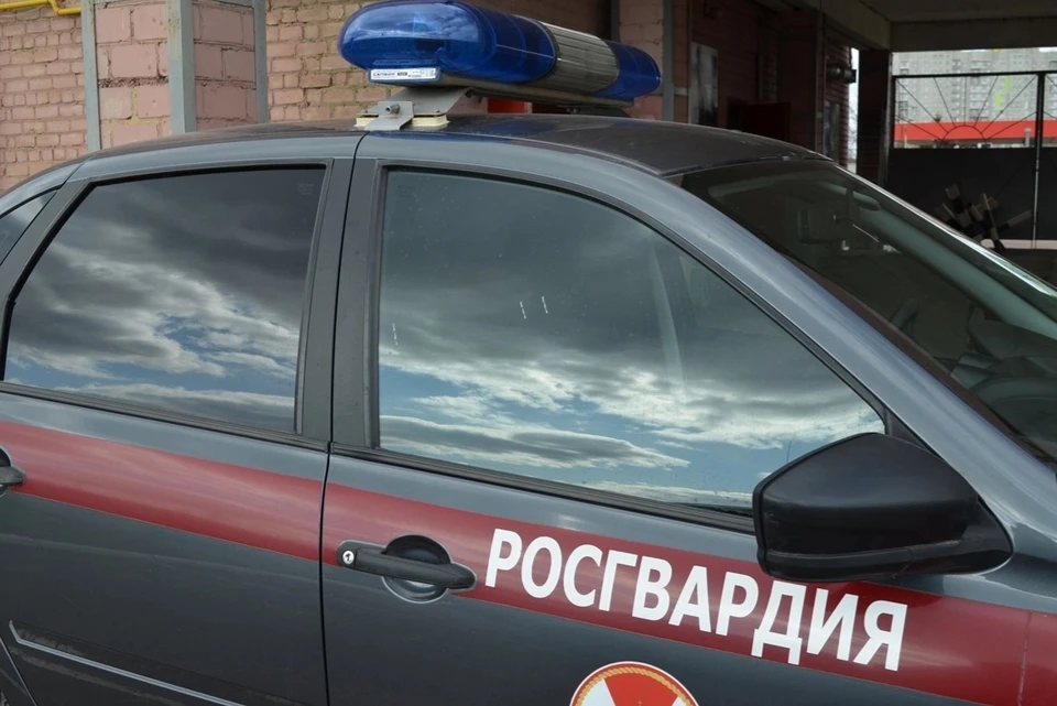 Силовикам пришлось задерживать хулиганов