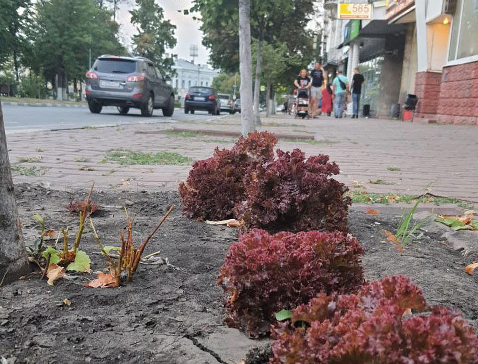 ФОТО: телеграм-канал urbanul
