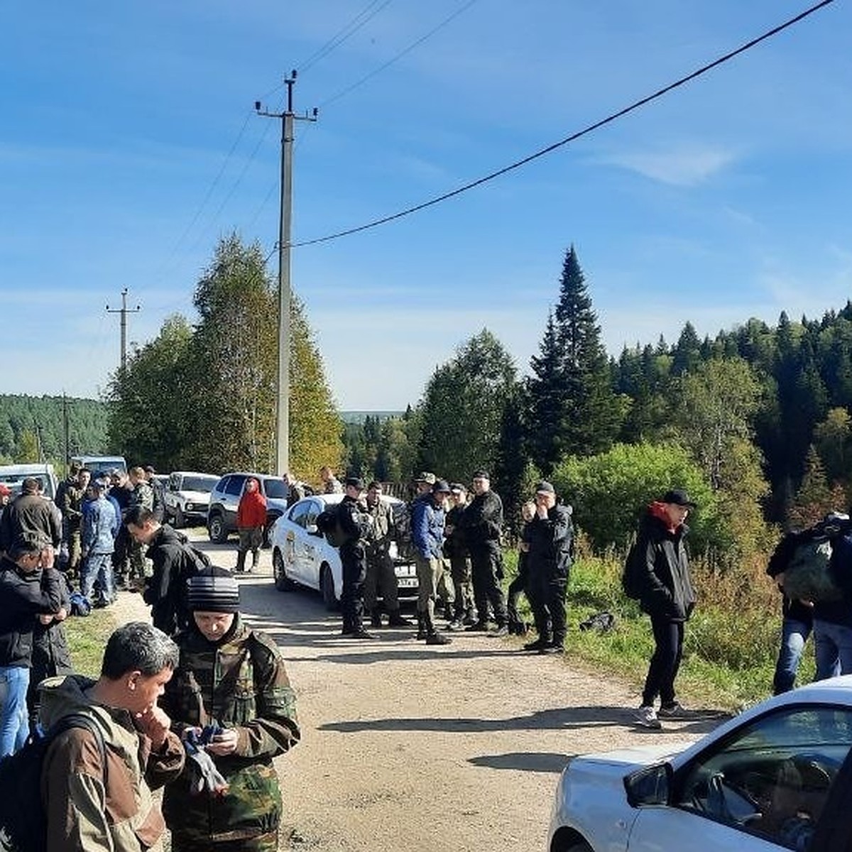 В кузбасском лесу двое суток ищут заблудившихся бабушку с внуком - KP.RU