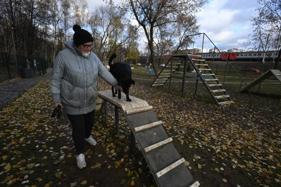 В Северске не прекращаются случаи с отравлением собак крысиным ядом.
