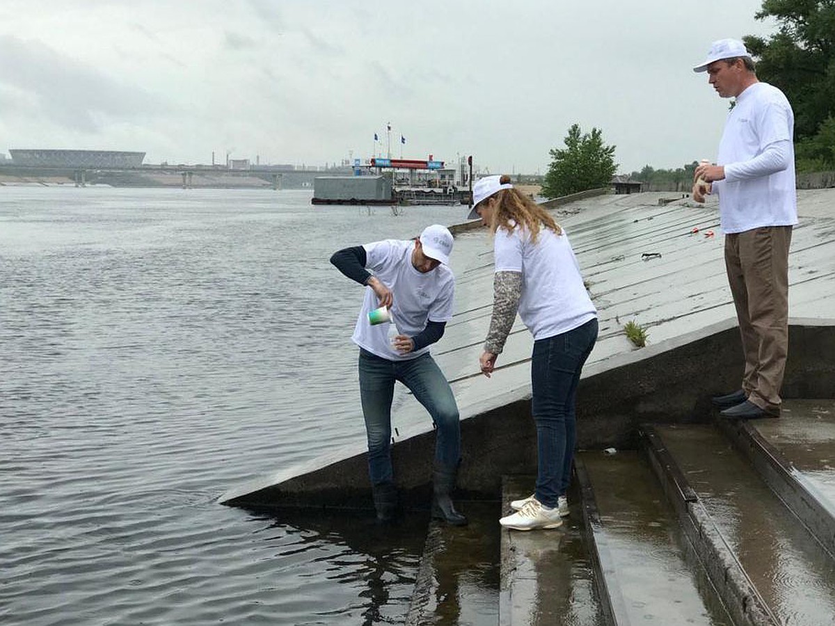 Эксперты рассказали об улучшении качества воды в Волге - KP.RU