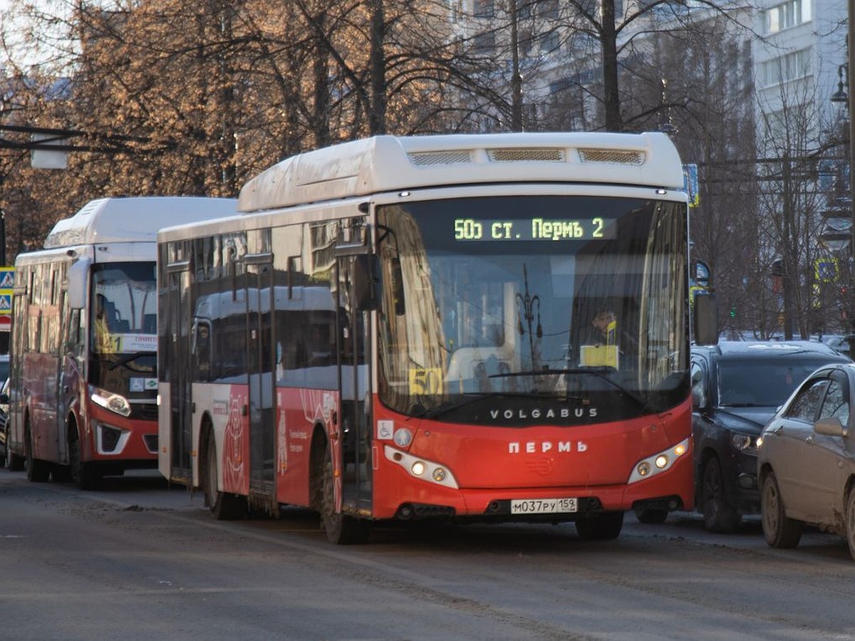 В Перми остановка «Кинотеатр «Кристалл» возвращается в прежний режим работы  - KP.RU