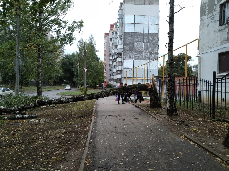 фото со страницы Ильи Сидорцева