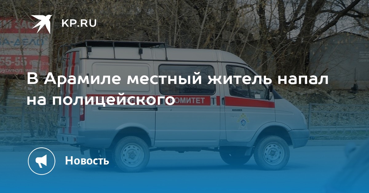 В Арамиле местный житель напал на полицейского  KP.RU